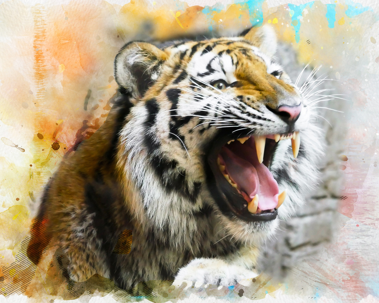 tiger, splash, art