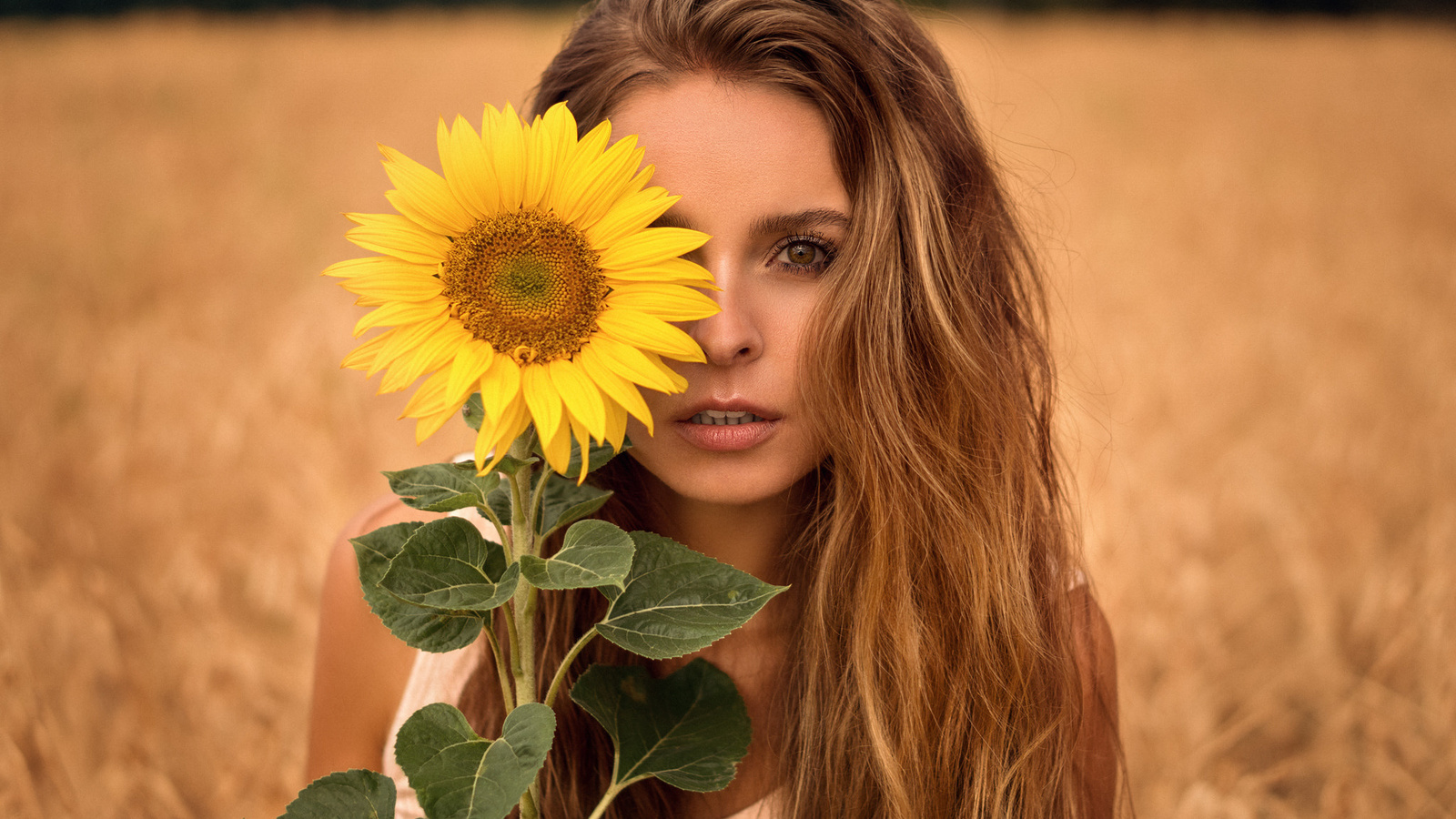 women, sunflowers, blonde, martin kuhn, portrait, face, long hair