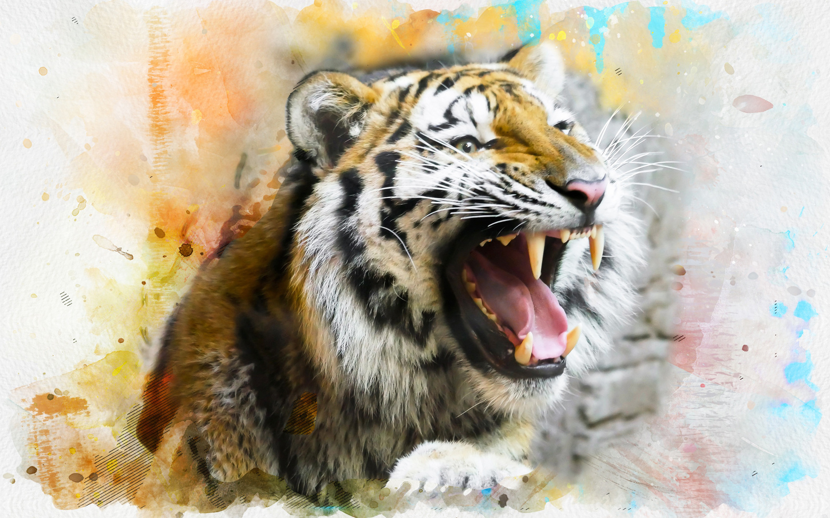 tiger, splash, art