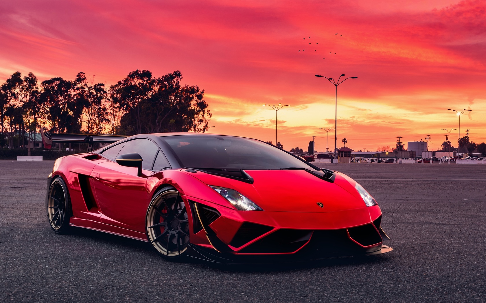 lamborghini, , gallardo, , , 