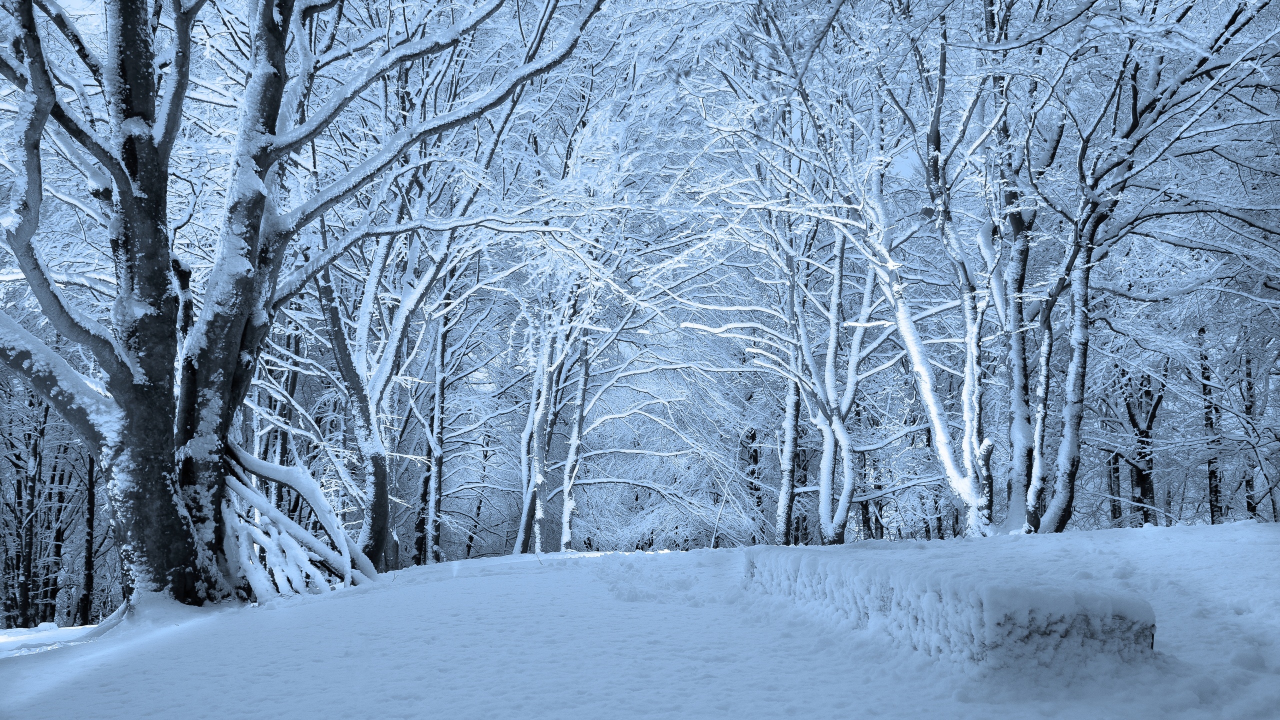 , norway, rogaland fylke, roaring silence, vaaland, stavanger