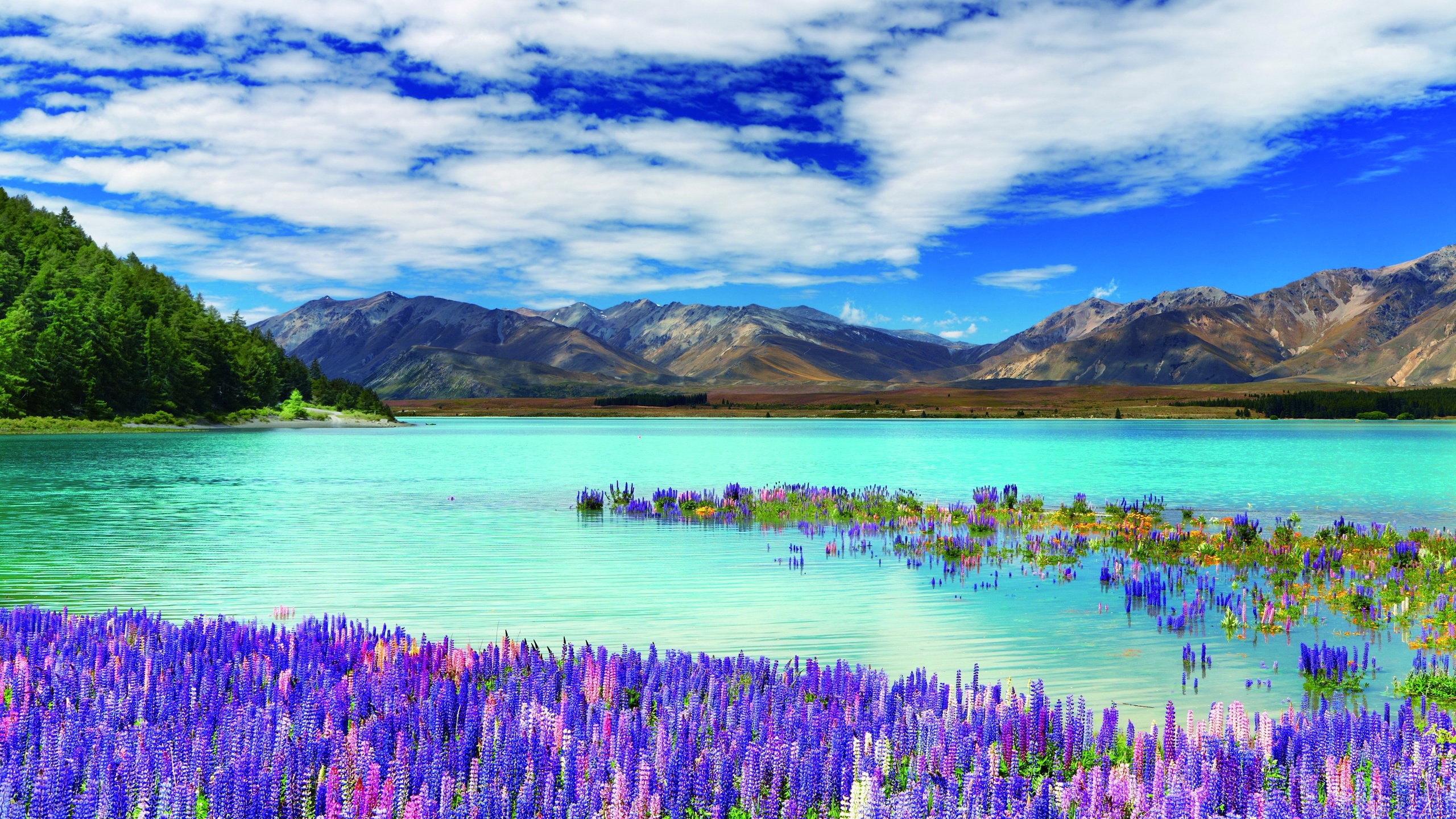  , , , new zealand, river, mountains, flowers, clouds