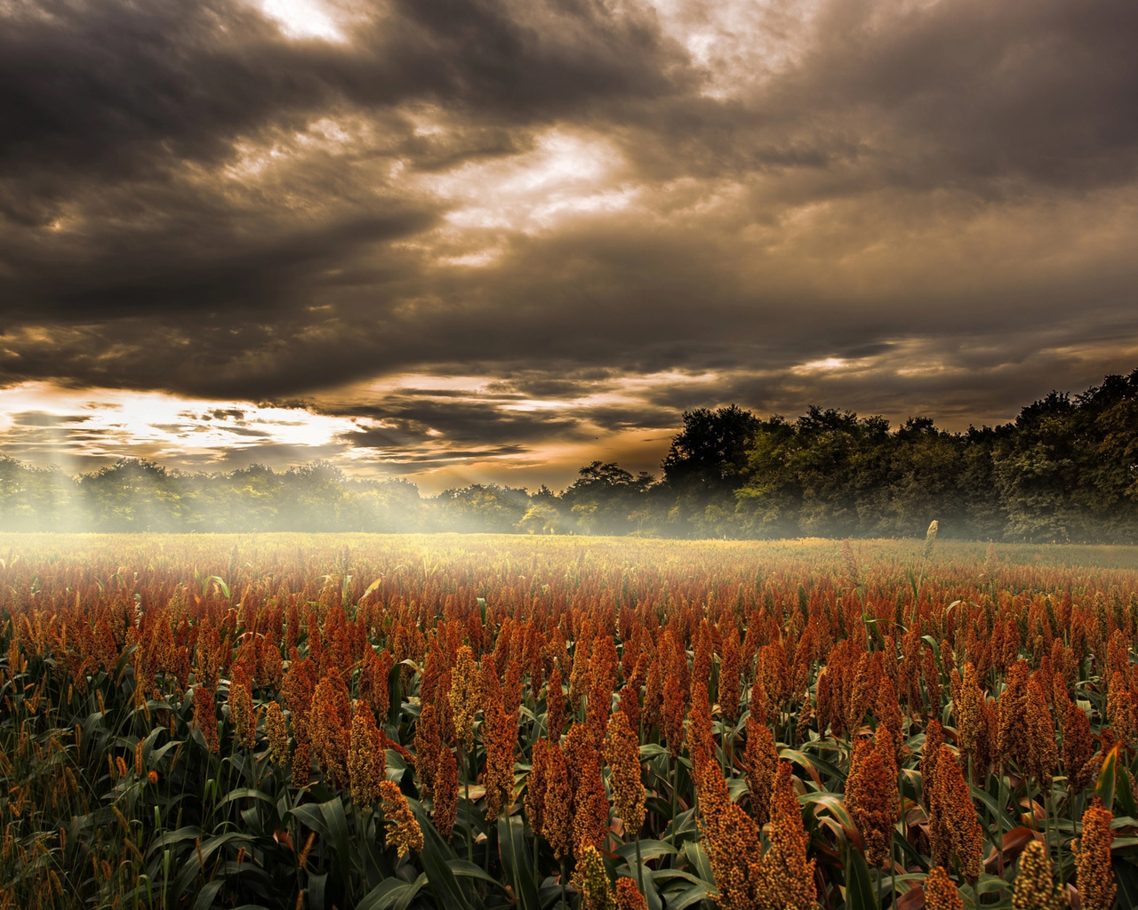 robert didierjean, , , , , , , , 