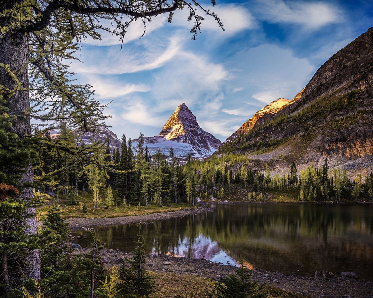 timothy poulton, , , , , , , , , , 