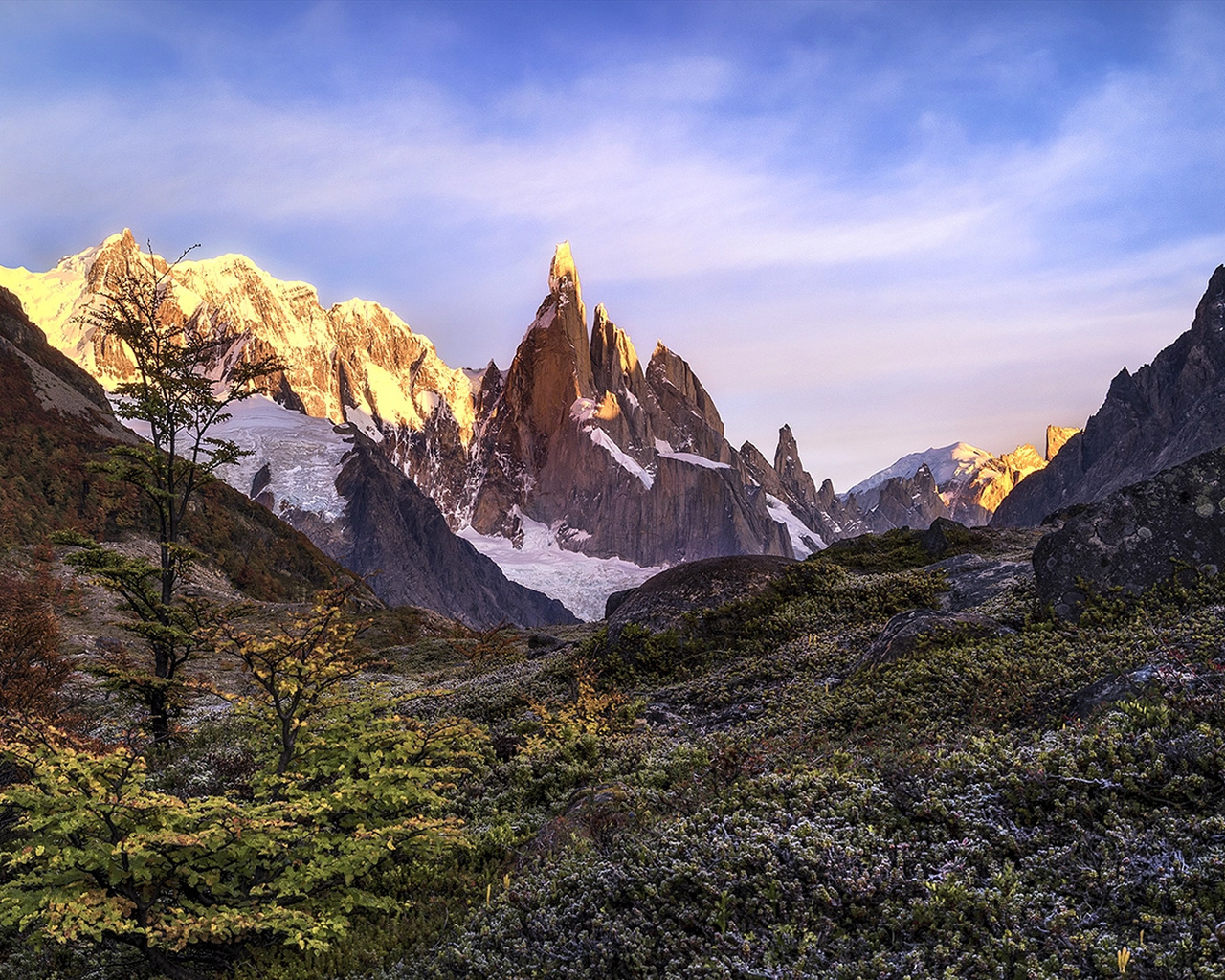 timothy poulton, , , , , , , , 