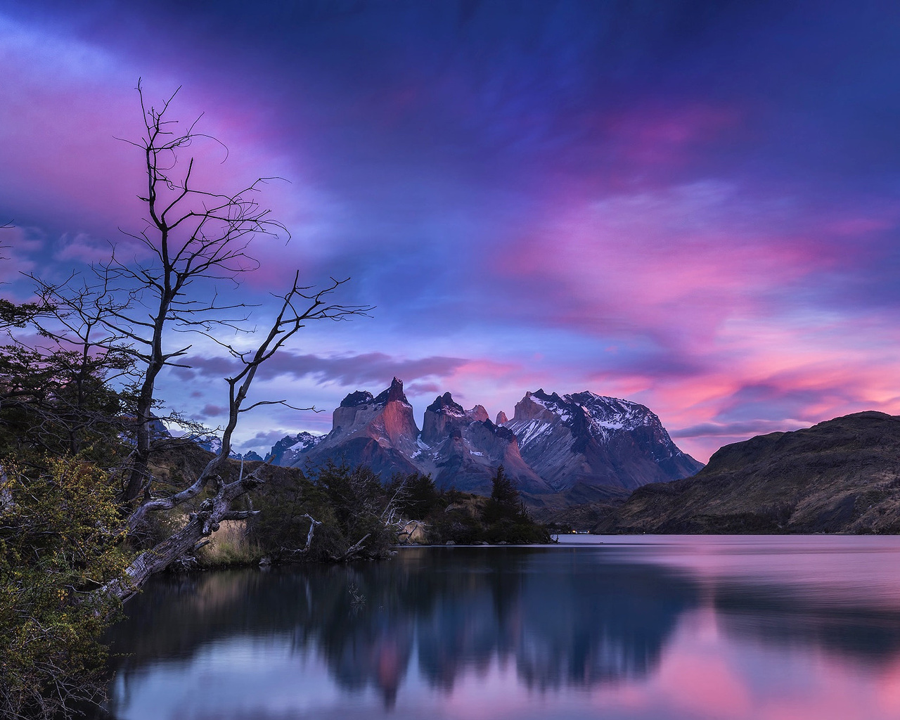 timothy poulton, , , , , , , , 