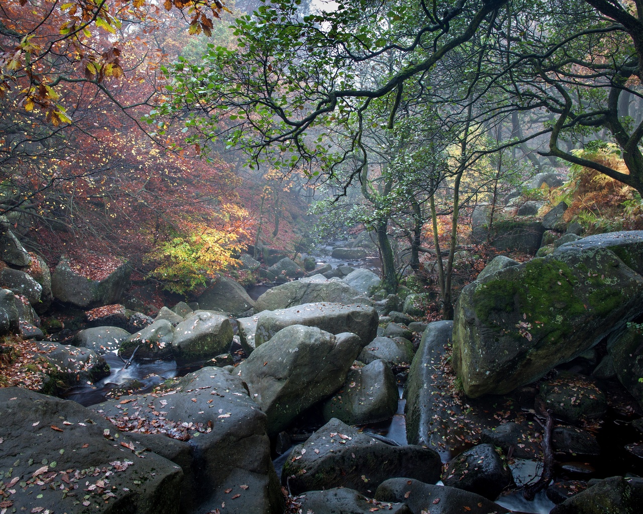 , , , , , , , , padley gorge