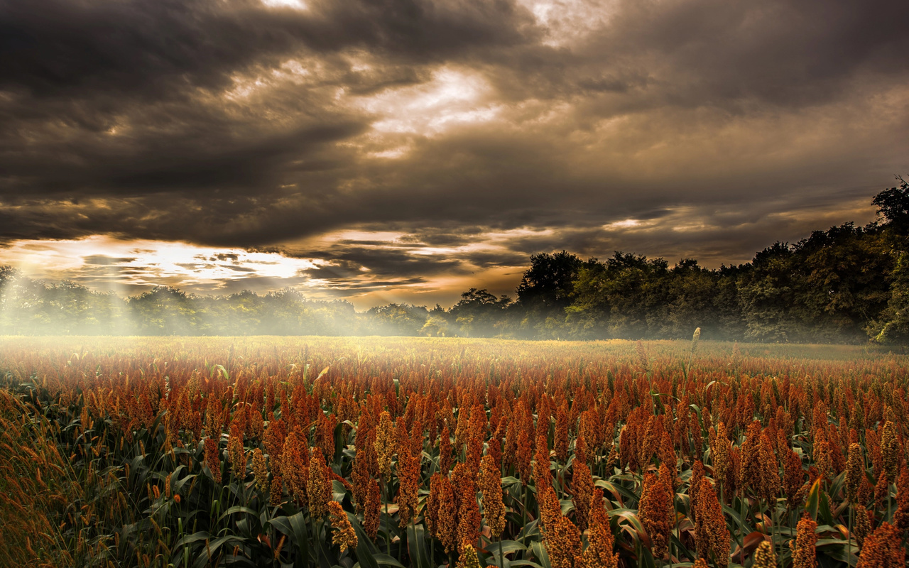 robert didierjean, , , , , , , , 