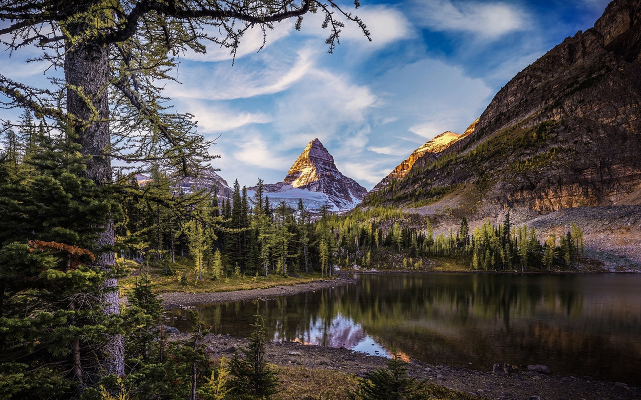 timothy poulton, , , , , , , , , , 