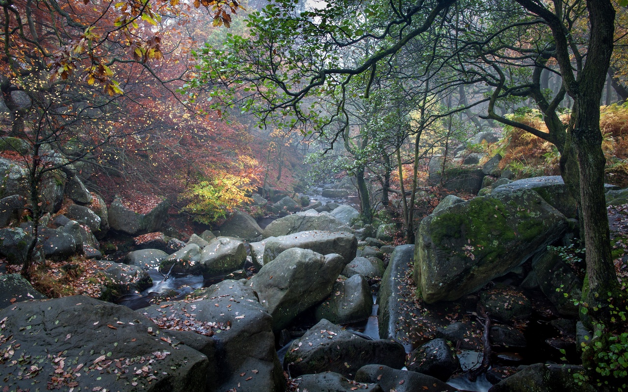 , , , , , , , , padley gorge