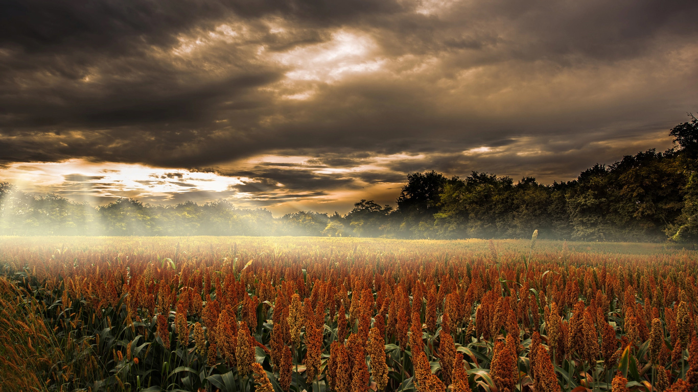 robert didierjean, , , , , , , , 