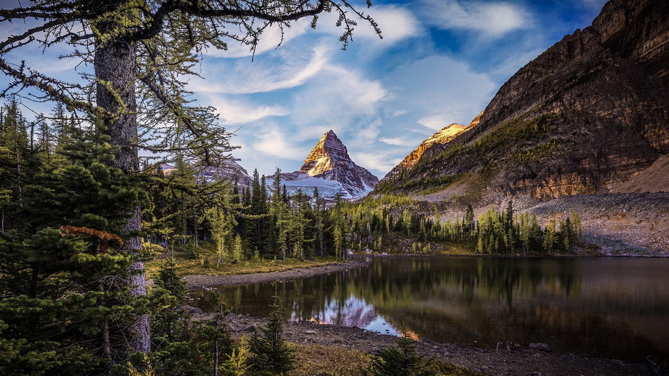 timothy poulton, , , , , , , , , , 