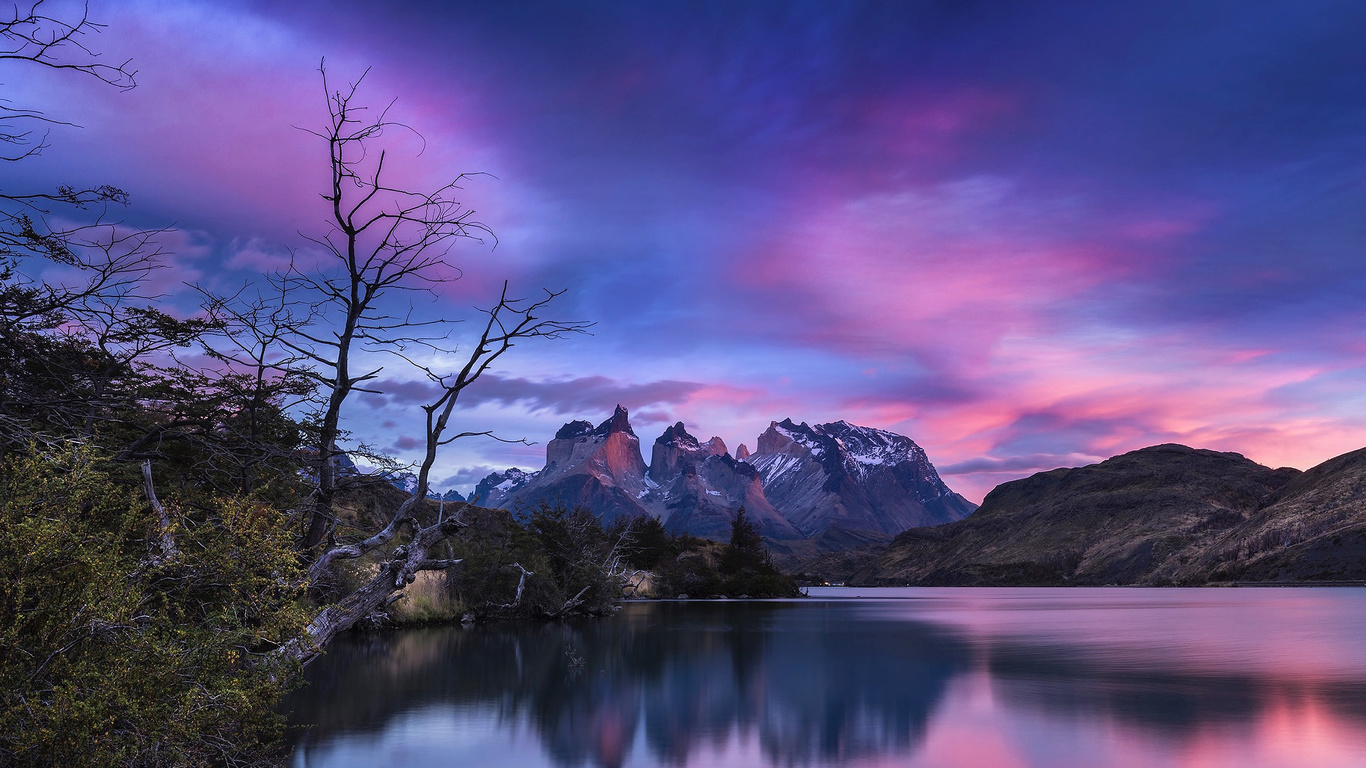 timothy poulton, , , , , , , , 