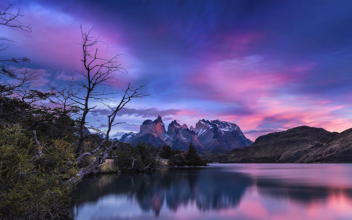 timothy poulton, , , , , , , , 