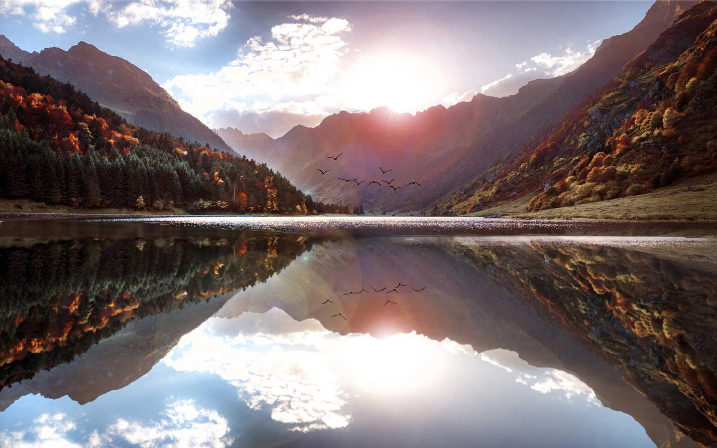 didier laurancy, , , , , , , , , , 