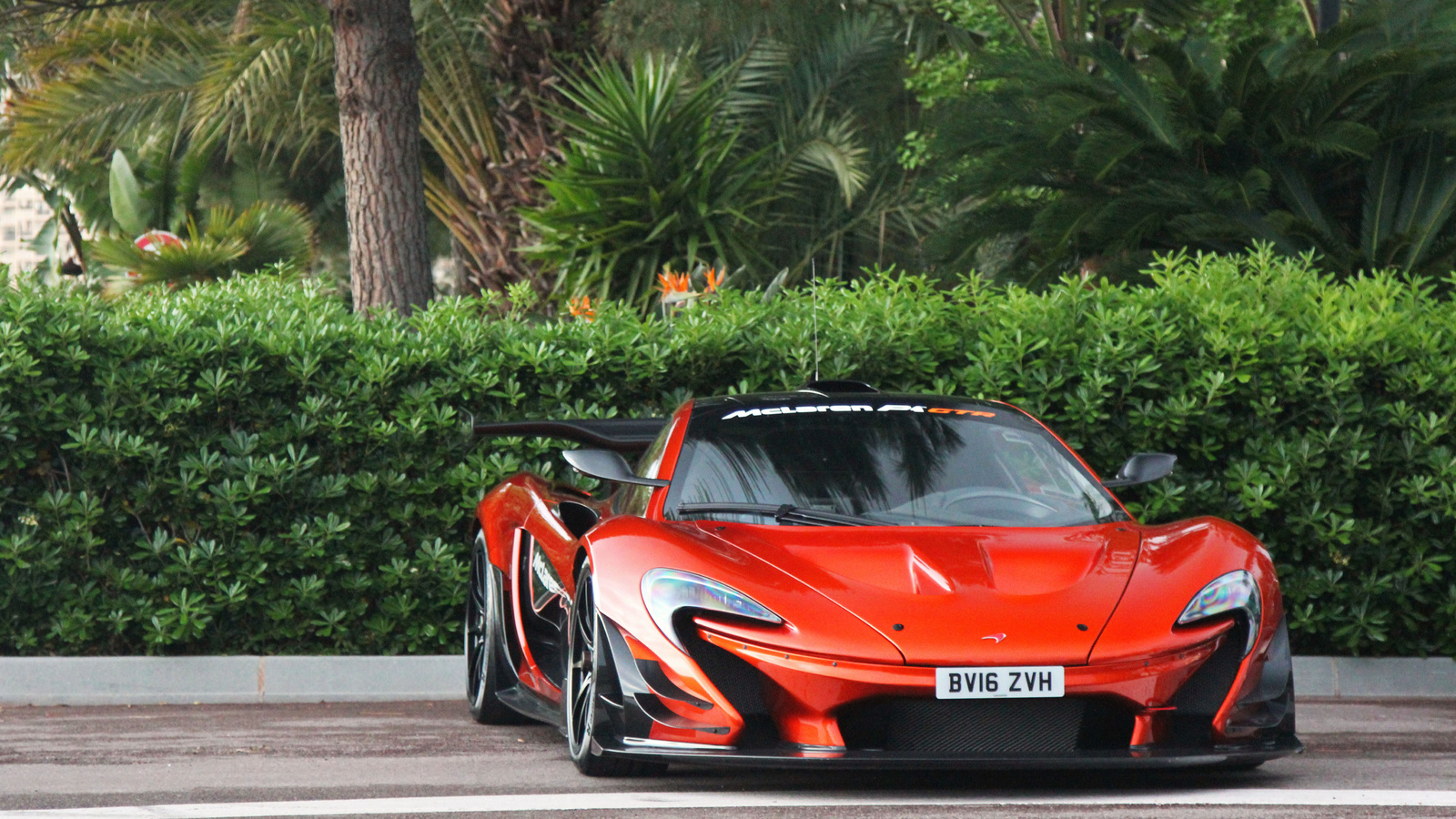 mclaren, 