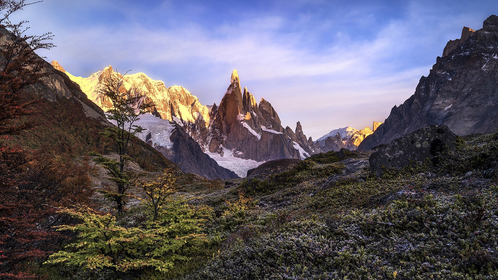 timothy poulton, , , , , , , , 