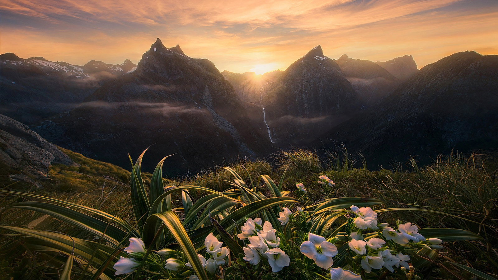 marc adamus,  , , , , , , , 