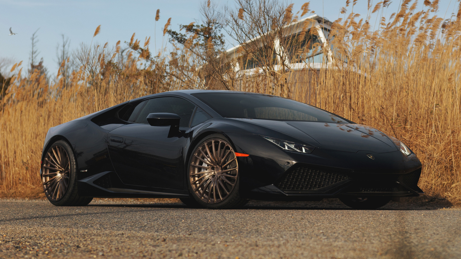 lamborghini, huracan, black, supercar