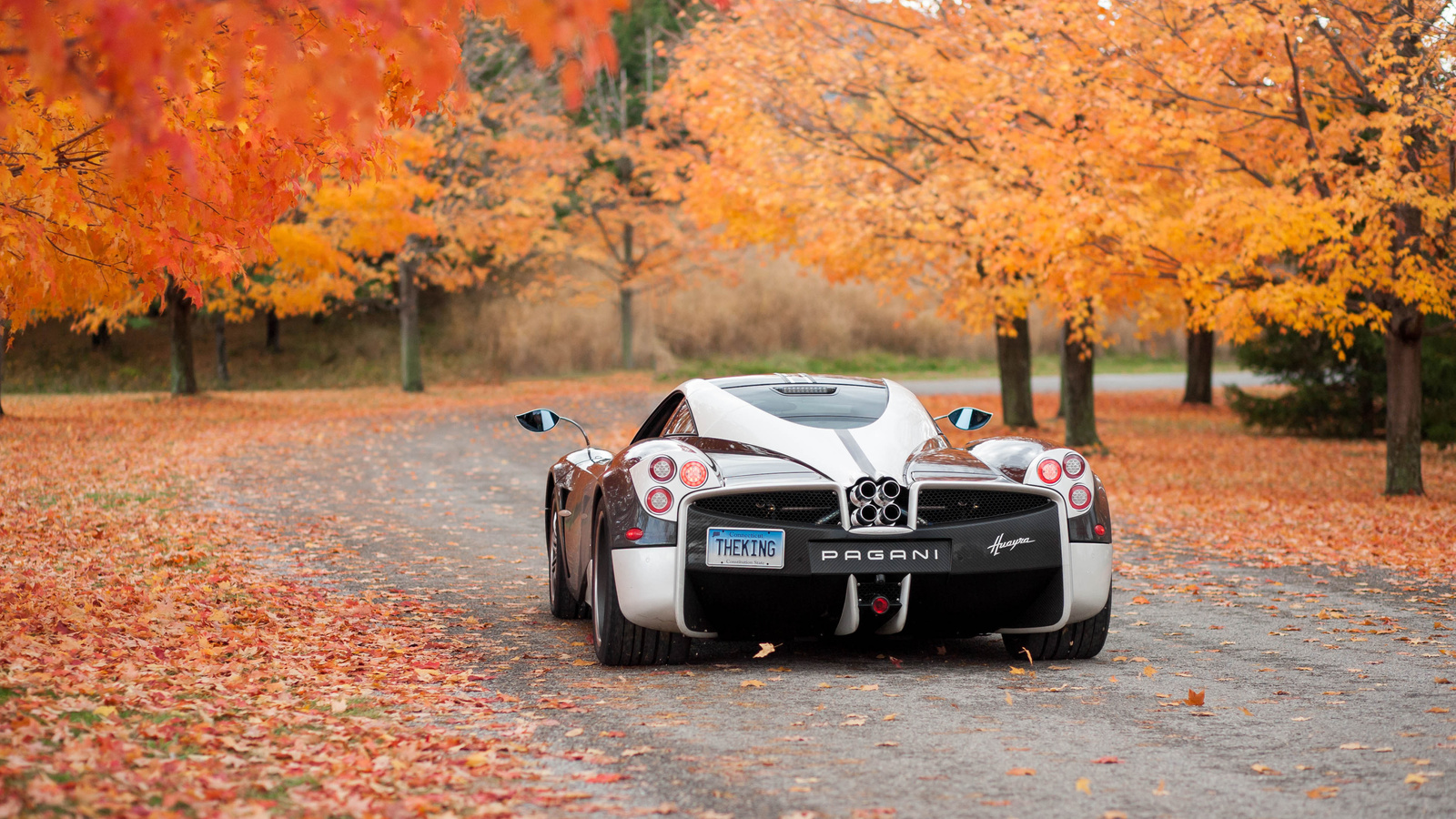 pagani, huayra, 