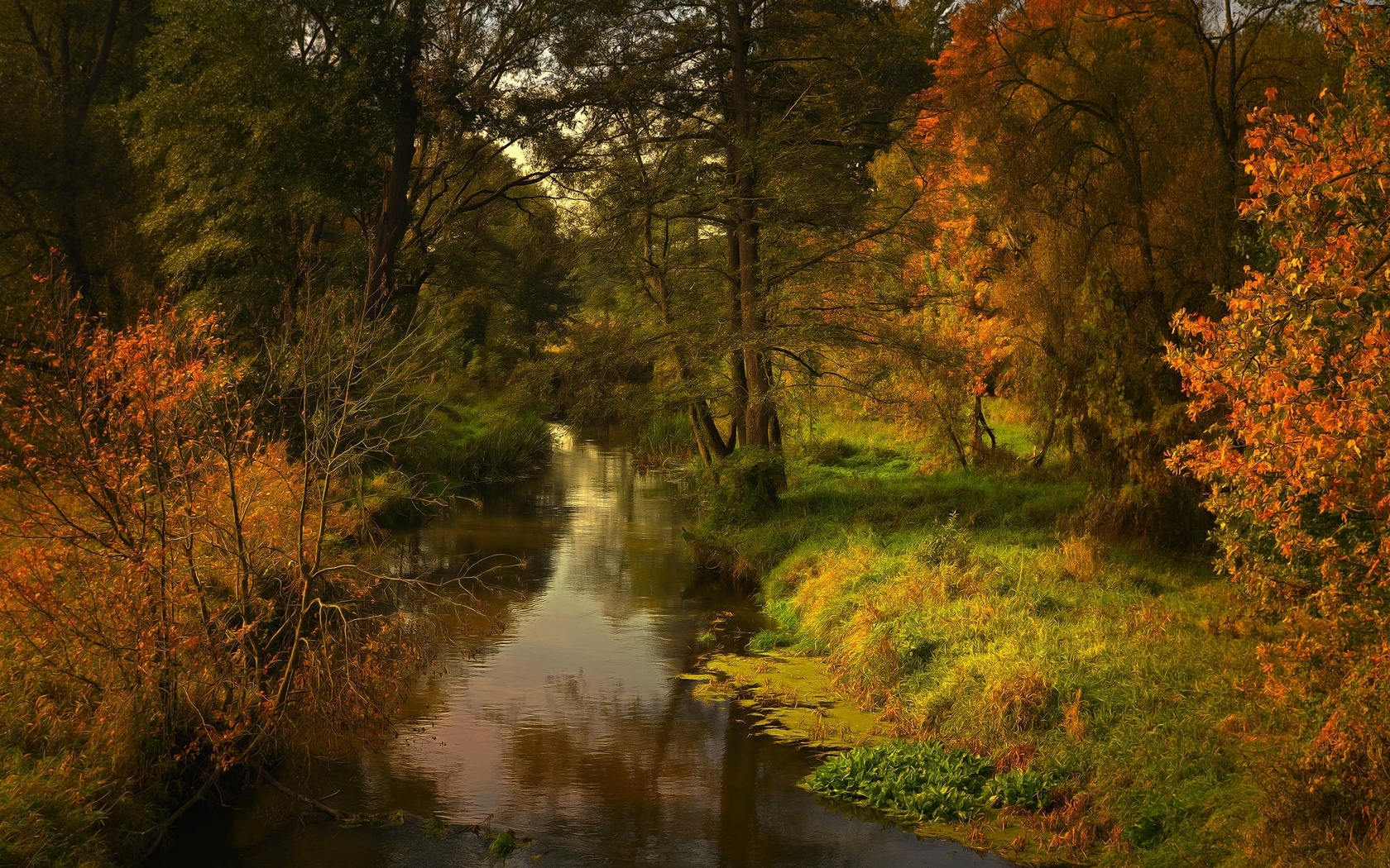 Осень лес река