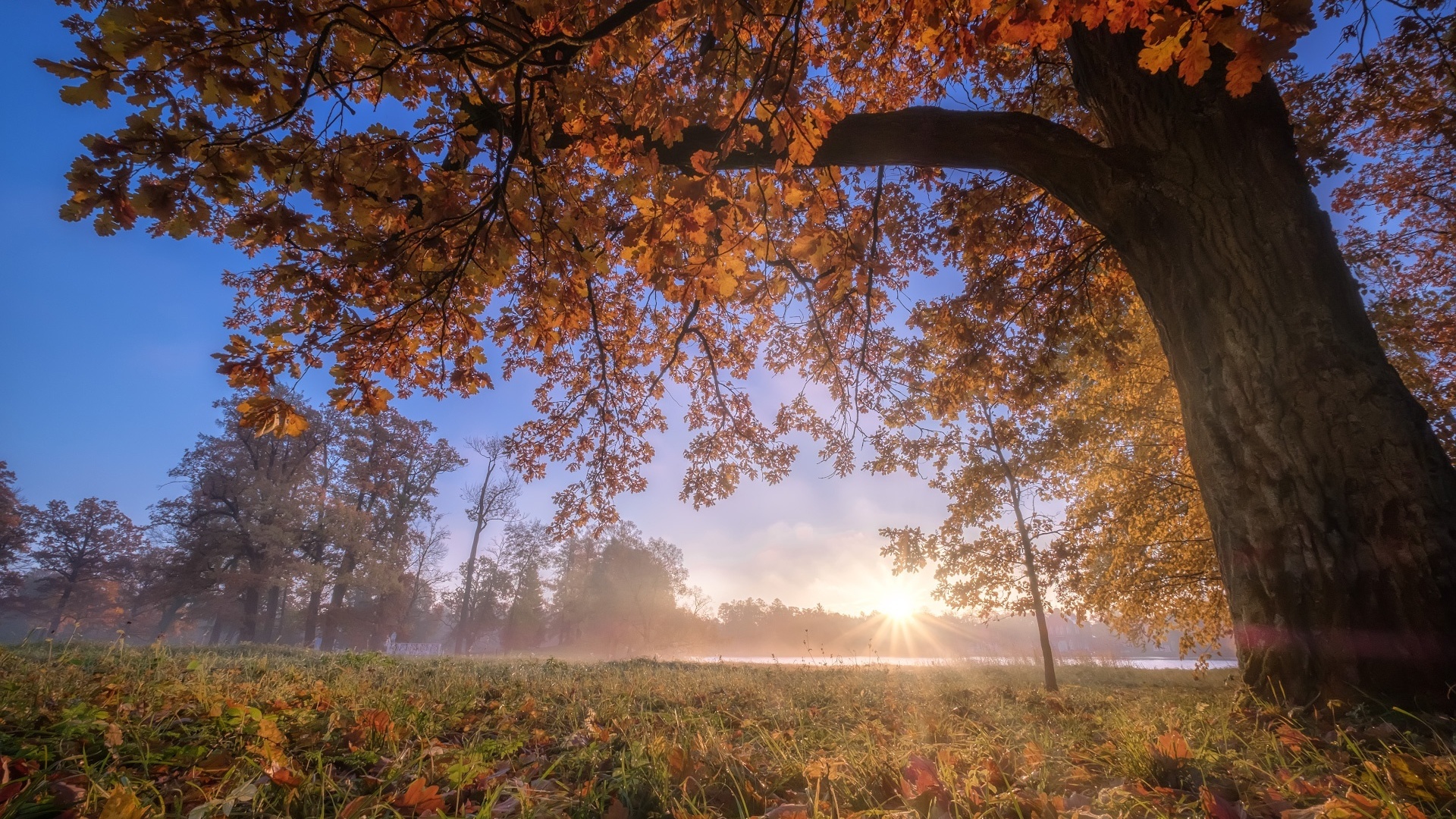 Рассвет фото природа осень