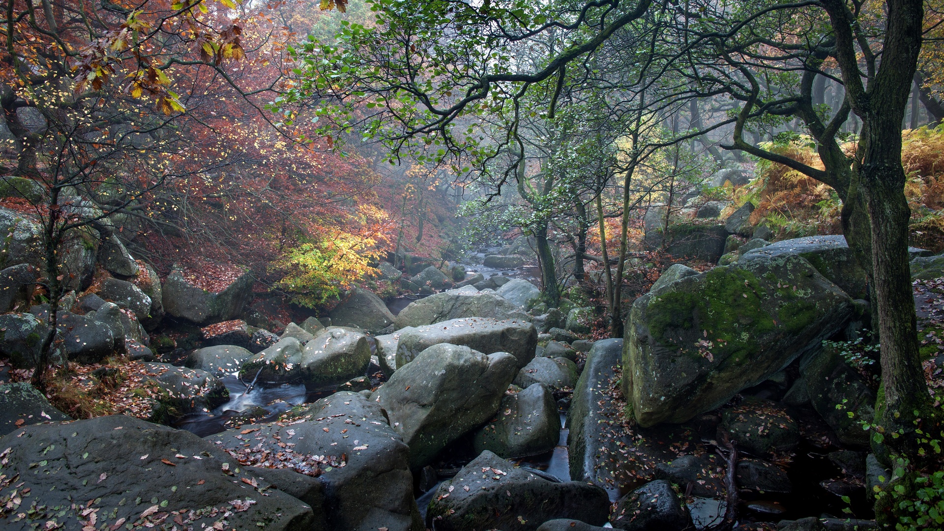 , , , , , , , , padley gorge