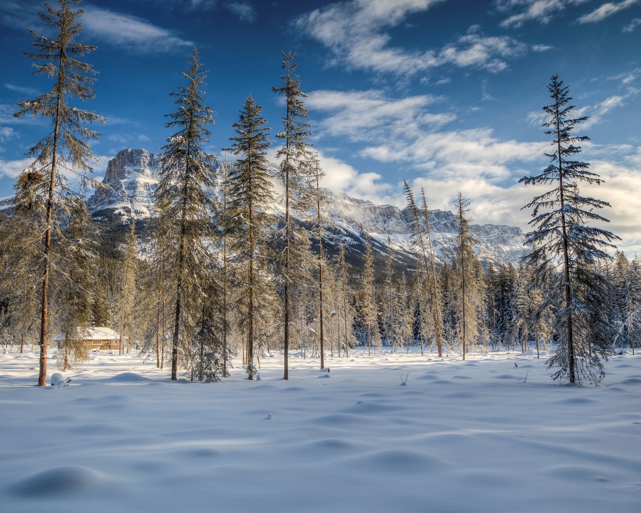 banff, national park, alberta, canada, , , 