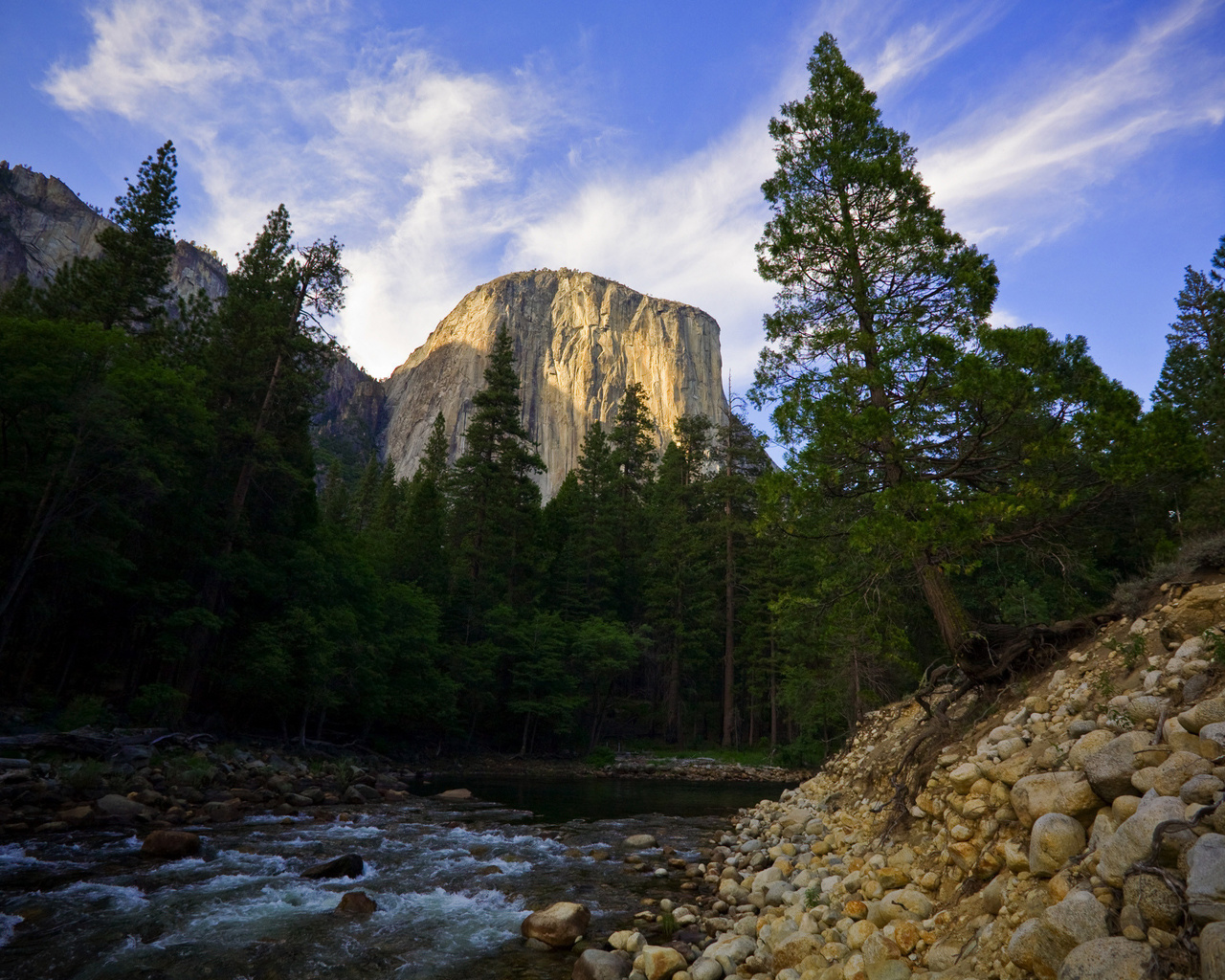 forest stream, rock, sky, cloud, tree, nature