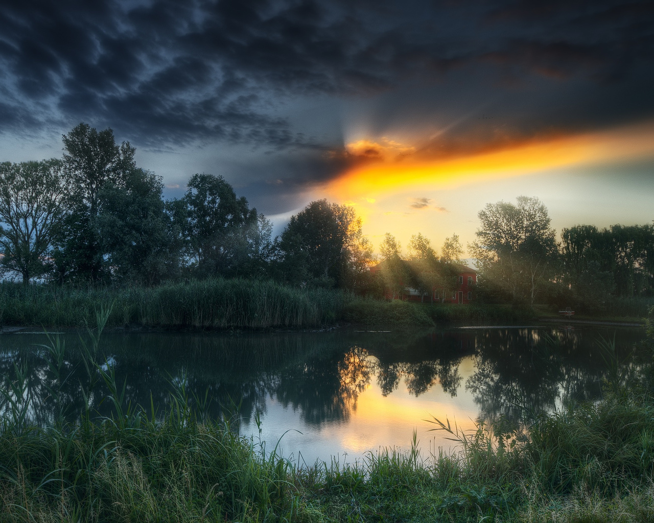 trees, house, pond, dawn, the sun