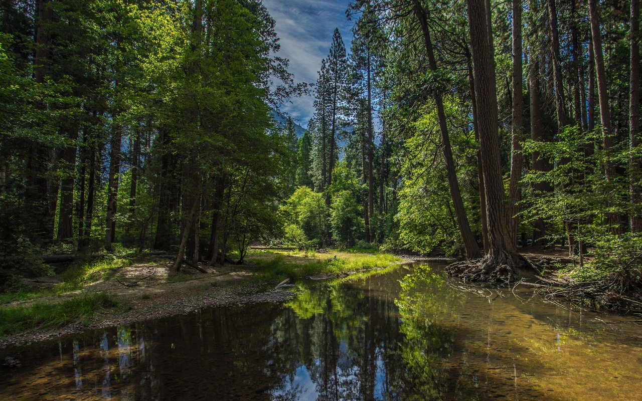 yosemite, national park, california, 