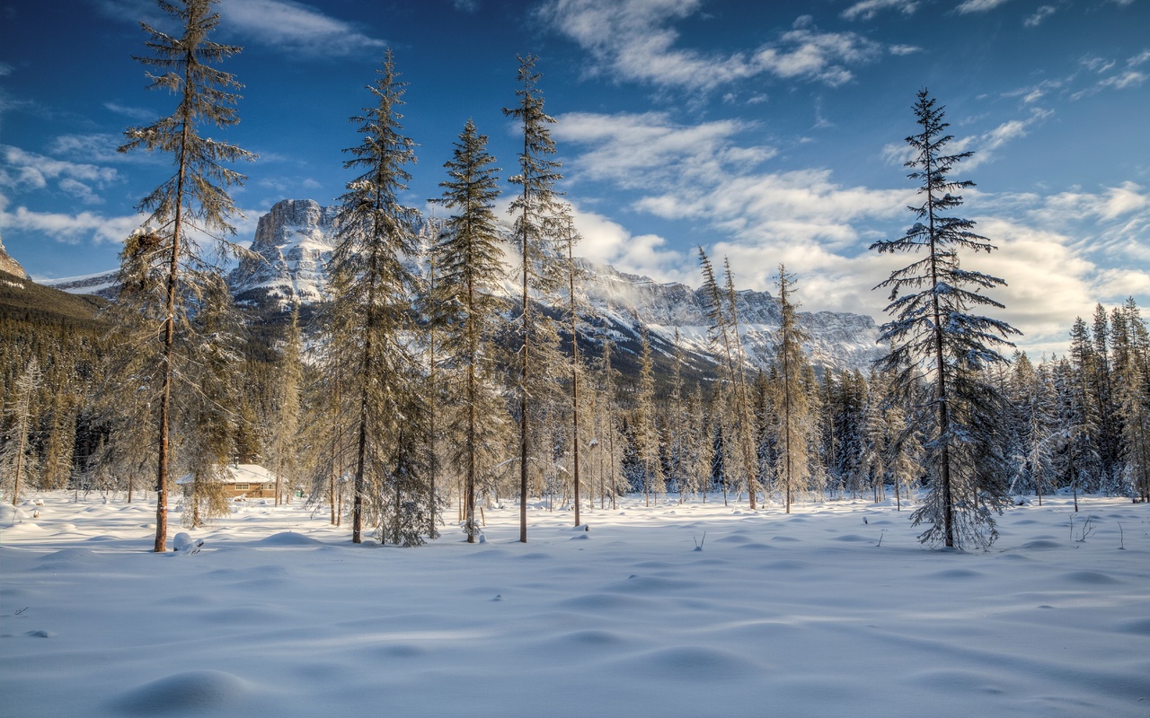 banff, national park, alberta, canada, , , 