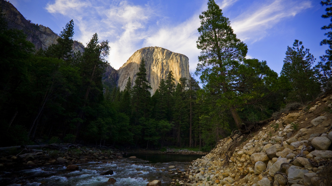 forest stream, rock, sky, cloud, tree, nature