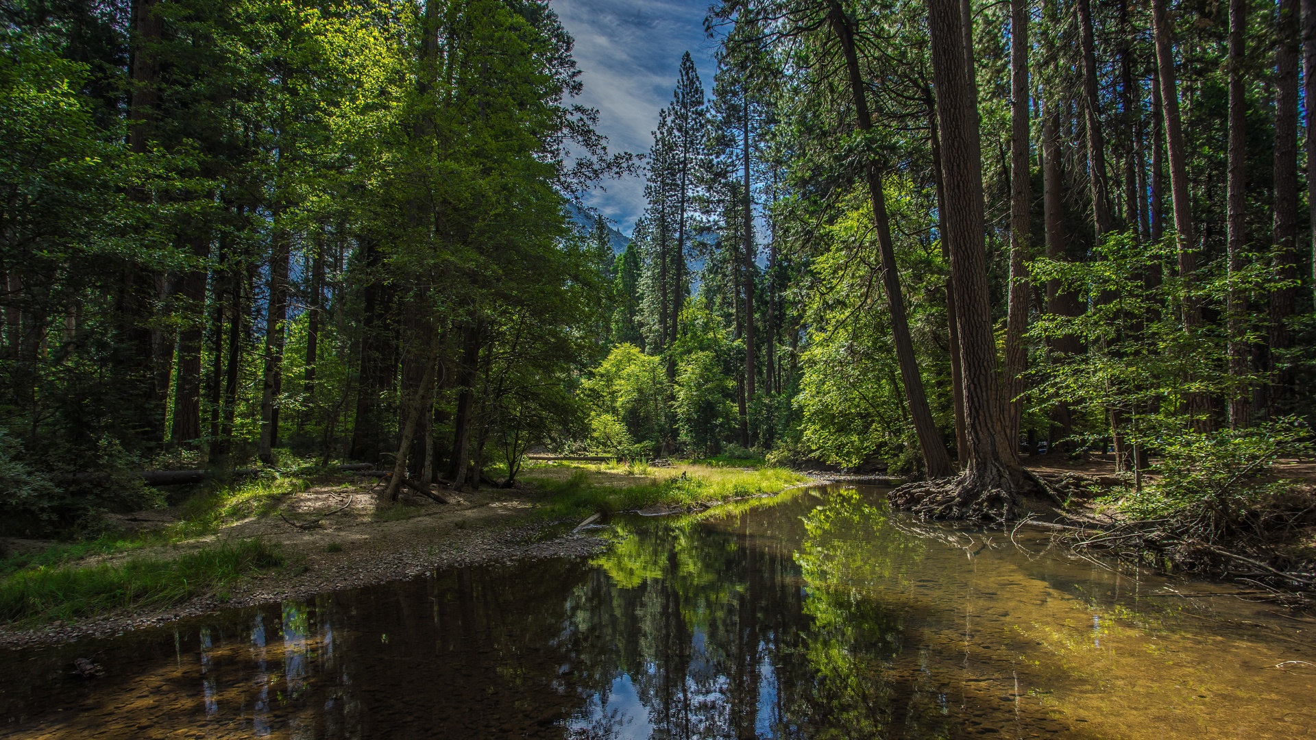 yosemite, national park, california, 