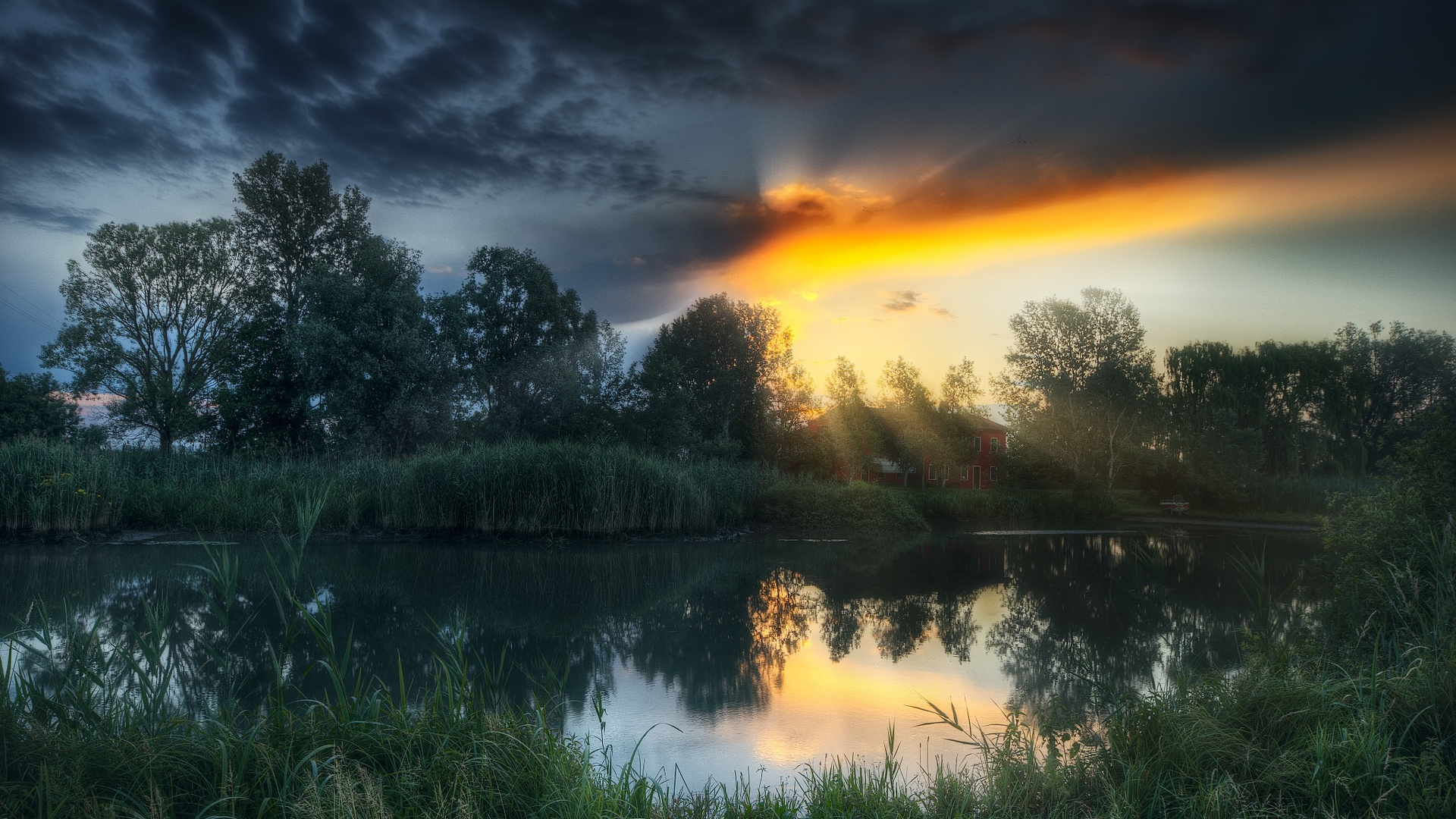 trees, house, pond, dawn, the sun