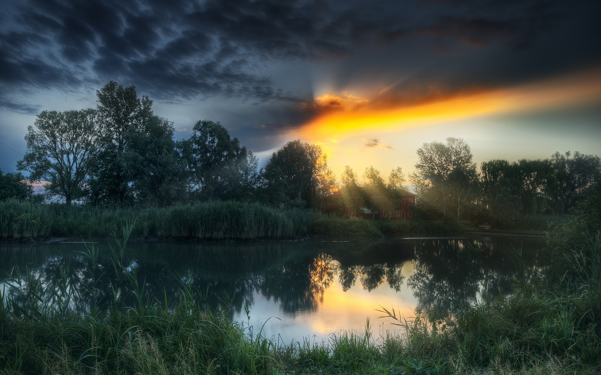 trees, house, pond, dawn, the sun