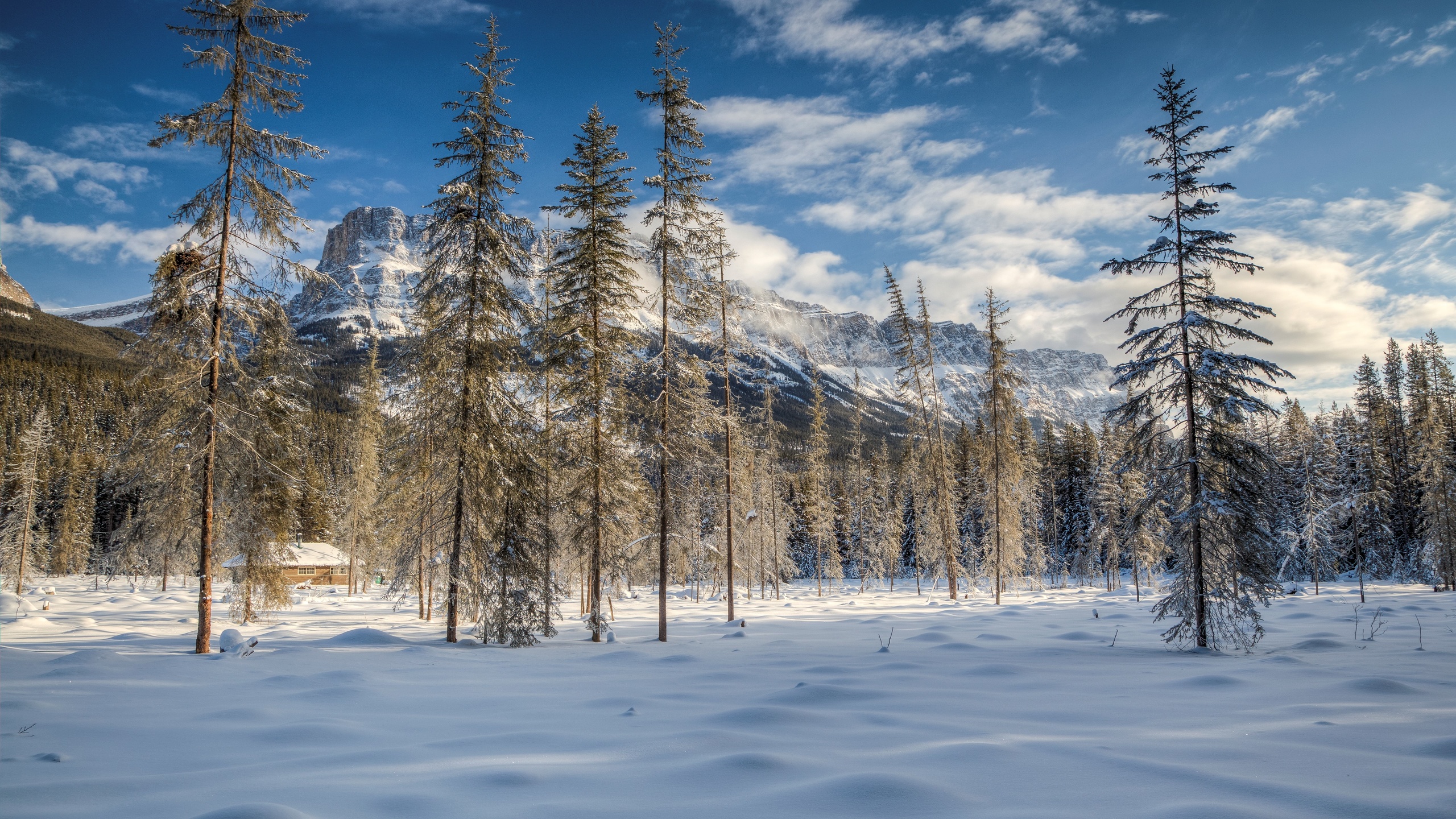 banff, national park, alberta, canada, , , 