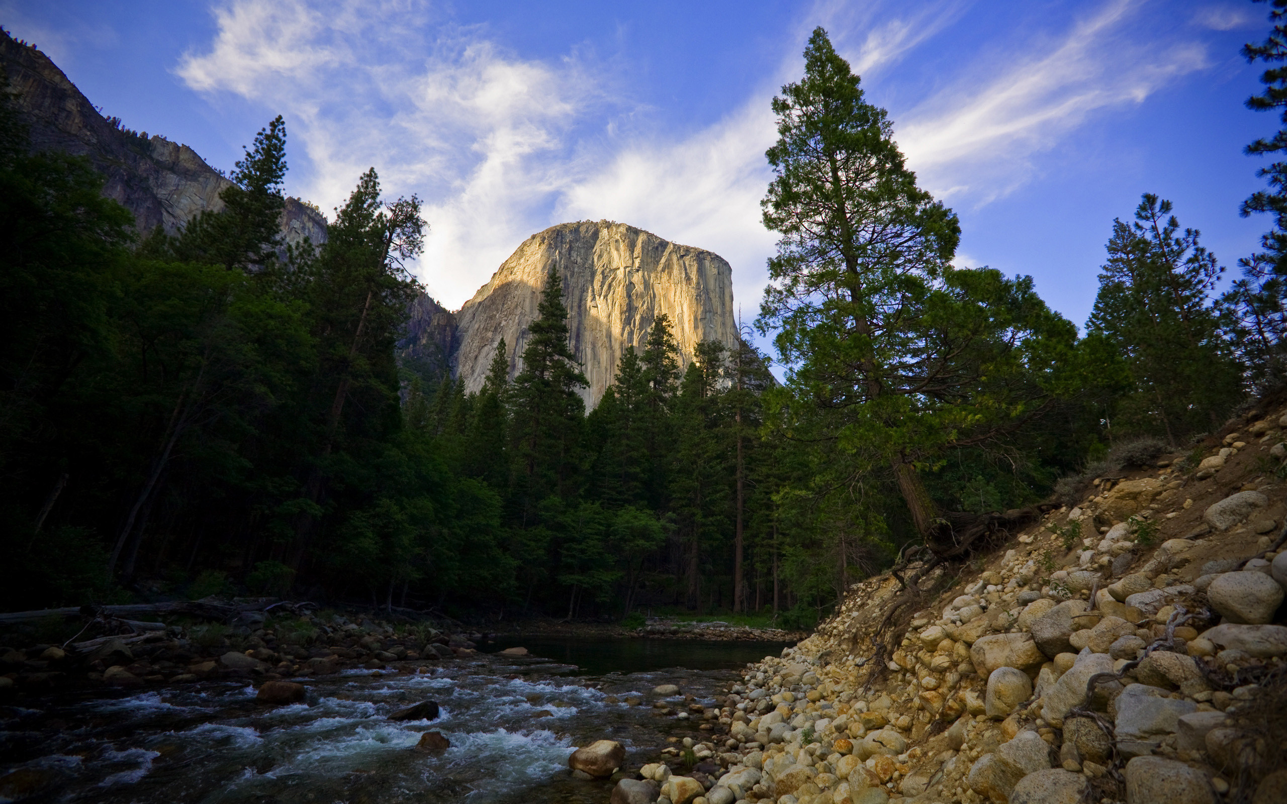 forest stream, rock, sky, cloud, tree, nature