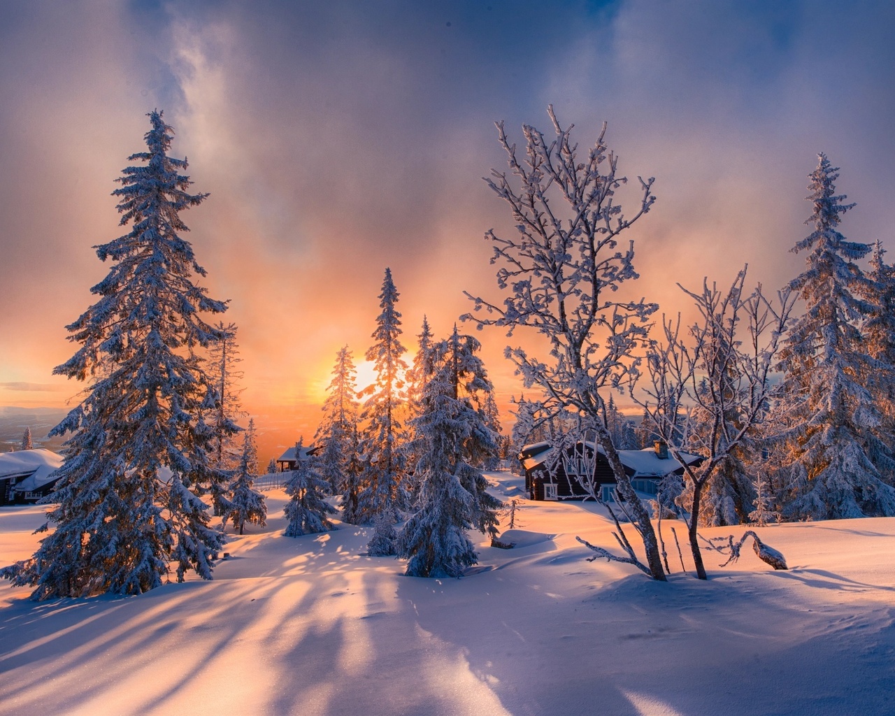 , , , , , , , , , , , allan pedersen, jorn allan pedersen