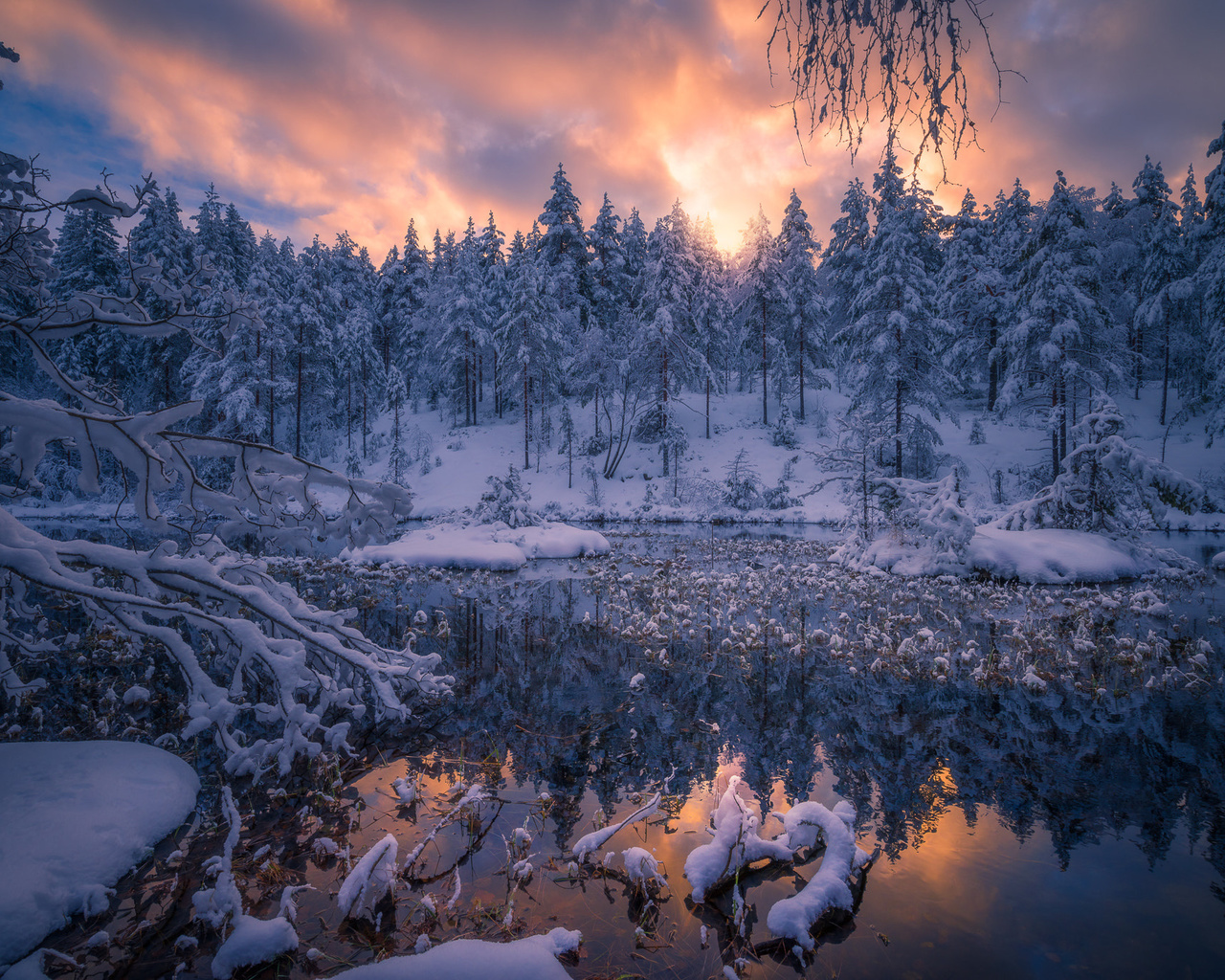 ole henrik skjelstad, , , , , , , , 