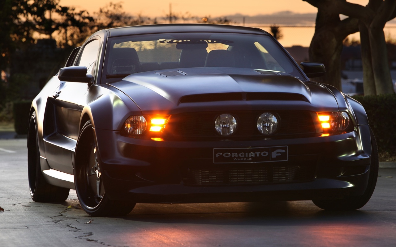 ford, mustang, gt, , forgiato