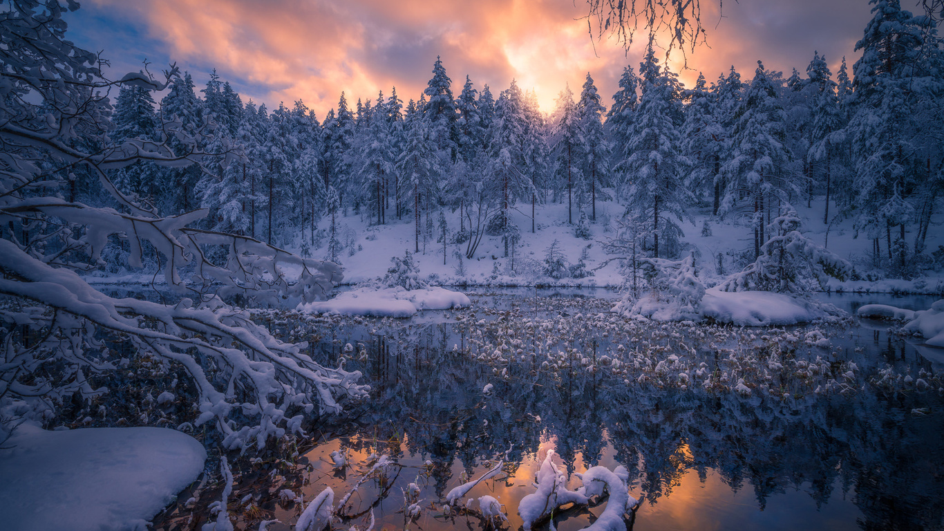 ole henrik skjelstad, , , , , , , , 