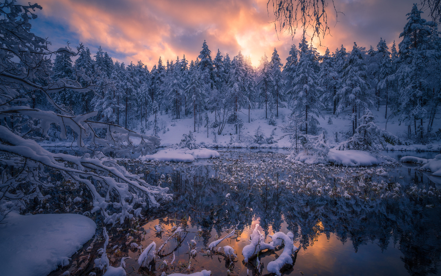 ole henrik skjelstad, , , , , , , , 