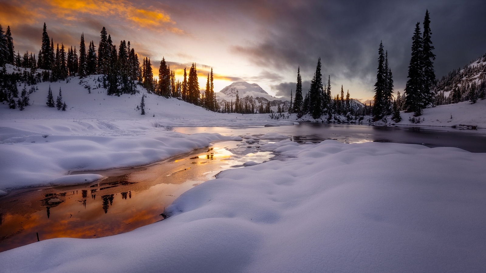 , , , , , , , , doug shearer, , , 