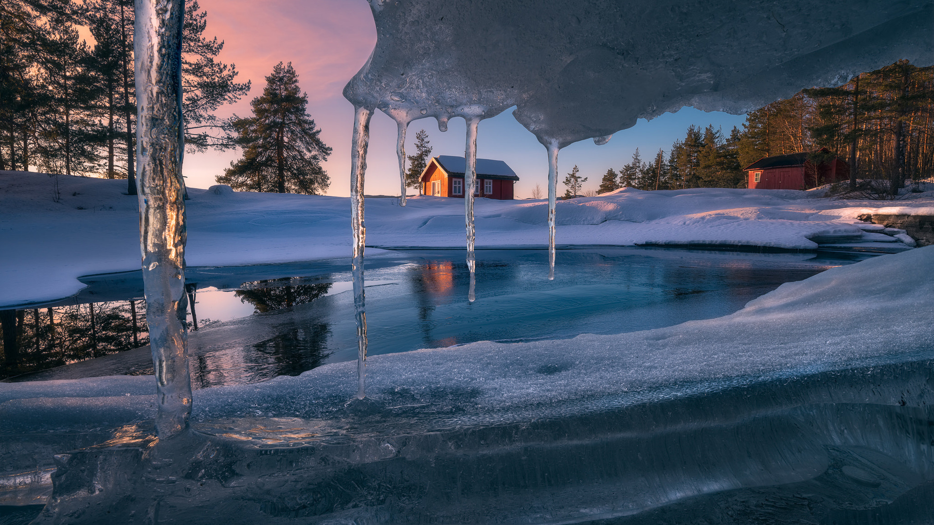 ole henrik skjelstad, , , , , , , , , , , , , 