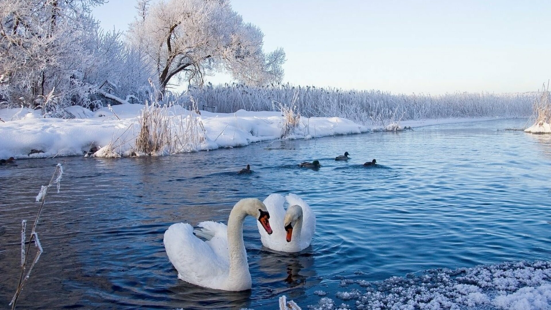 Себежский национальный парк зимой