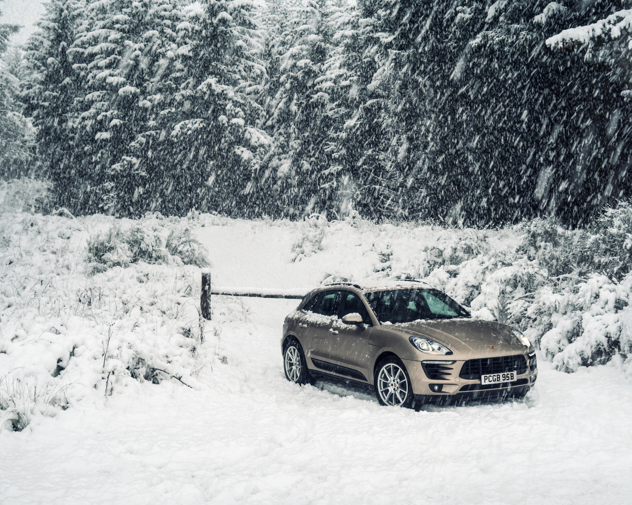 , snow, porsche, forest, , , , winter