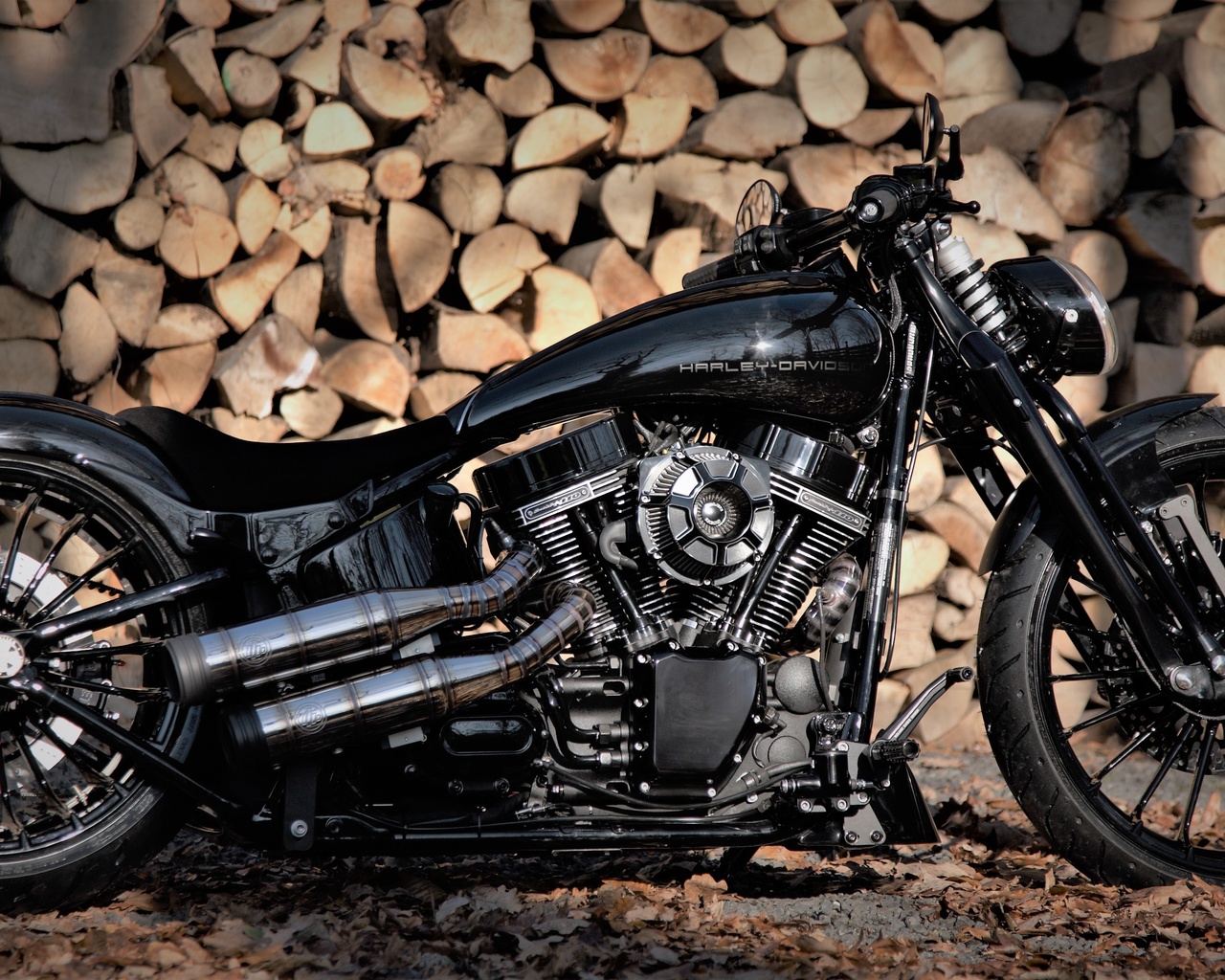 harley-davidson, 