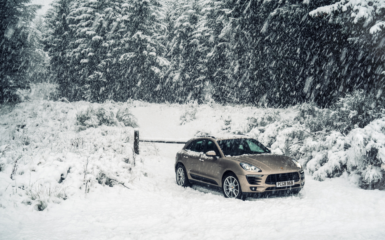 , snow, porsche, forest, , , , winter