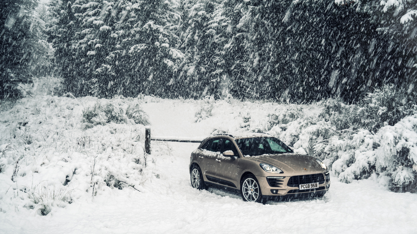 , snow, porsche, forest, , , , winter